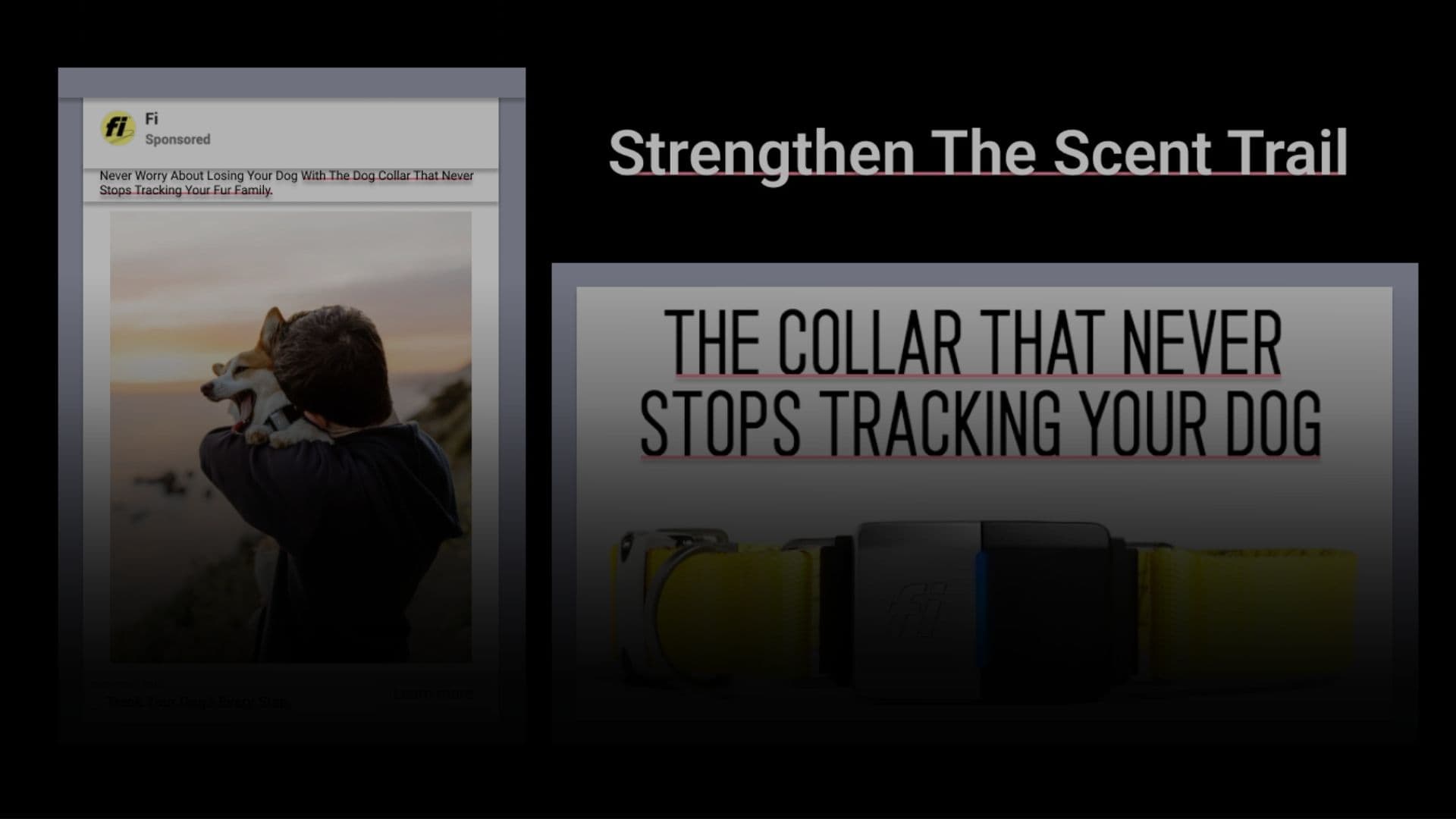 Header image for this blog post